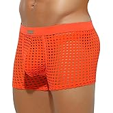 Arjen Kroos Men's Sexy Trunks Sheer Mesh Underwear Novelty Low Rise Lingerie
