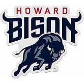 Rico Industries NCAA Howard Bison Primary Shape Cut Pennant - Home and Living Room Décor - Soft Felt EZ to Hang