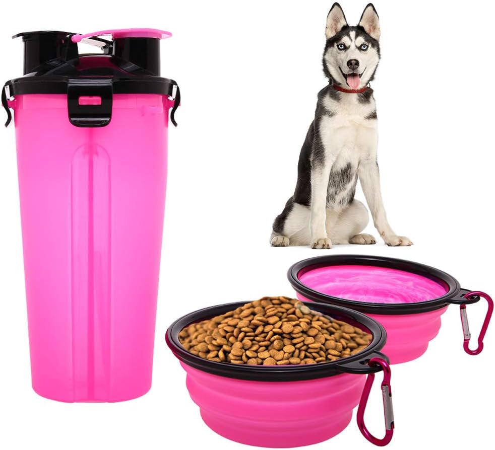 siberian kitten breeders near me