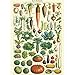 Cavallini Decorative Paper - Le Jardin 20