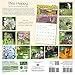 Bee Happy 2017 Wall Calendar: The Buzz on the Busy Life of Bees