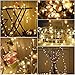 DecorNova Globe String Lights, 13 Feet 30 LEDs Ball String Fairy Light with 3AA Battery Box and Remove Controller, Warm White