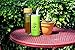 Glass Tea Tumbler | Tea Infuser Bottle, Loose Leaf Tea Tumbler, Fruit Infuser Water Bottle, Cold Brew Coffee Maker | Double Wall Borosilicate Glass Travel Tumbler (450ml, Green)