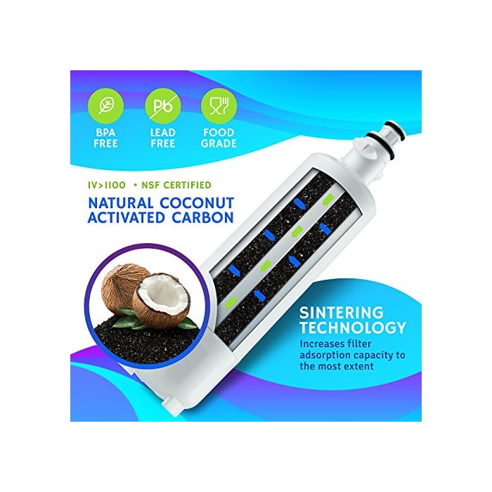 Odoga LT700P Refrigerator Water Filter Compatible with LG LT700P