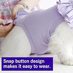 Cat Recovery Suit for Abdominal Wounds and Skin