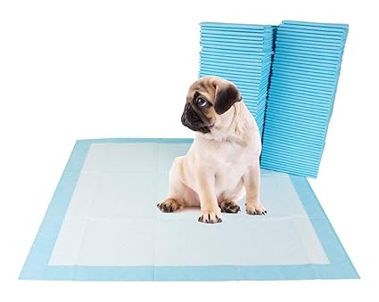 using potty pads to train puppies
