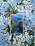 Front cover for the book Gardens of Ninfa (Small Books on Great Gardens) by Lauro Marchetti