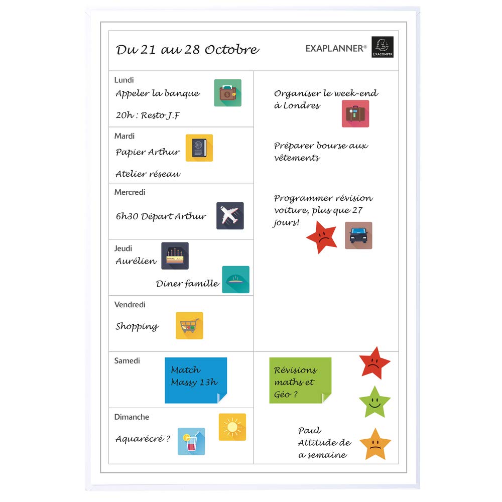 Exacompta Perso 58160E Magnetic Planner 43 x 30 cm