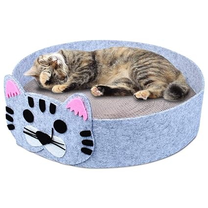 buy cat bed online