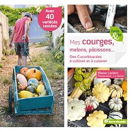 Mes courges, melons, pâtissons