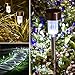 Solar Pathway Lights [16pack] - Waterproof Outdoor Garden Sunlight Powered Lights - Bright White - Landscape Light For Lawn/Patio/Yard/Walkway/Driveway (Stainless Steel)