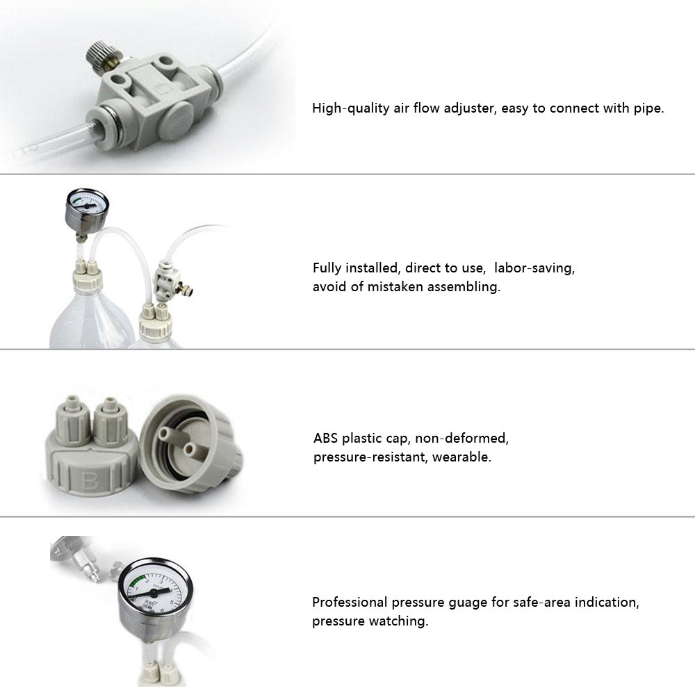 Mua Anself Diy Co2 Generator System Kit Pressure Gauge Air Flow Control Valve Water Filter Aquarium Accessories Tren Amazon Nhật Chinh Hang 21 Fado