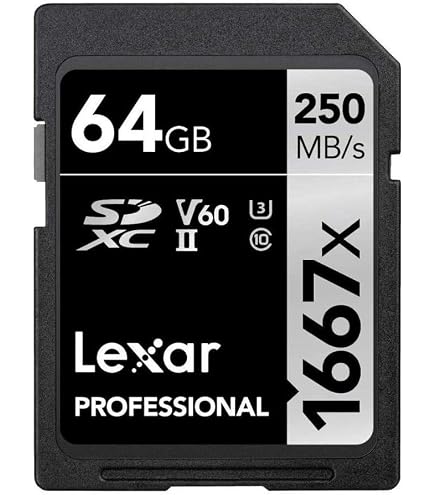 Amazon.com: Lexar High-Performance 800x PRO SD Card 64GB, SDXC UHS