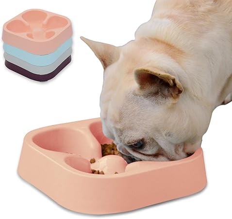 french bulldog food bowl