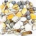 CYS EXCEL Approx 100 sea Shells, Sized at 0.75” to 2”, Mixed Beach Seashells, Arious Sizes Natural Seashells for Fish Tank, Vase Filler Sea Shells, Home Decorations, Wedding Décor