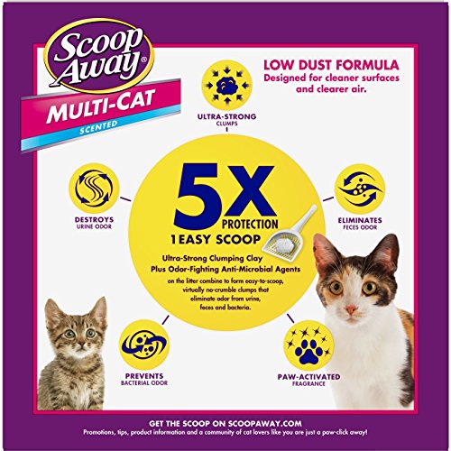 Scoop Away Multi-Cat, Scented Cat Litter, 14 Pounds