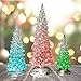 BANBERRY DESIGNS Table Top Christmas Trees - Set of 6 - LED Lighted Acrylic Christmas Trees Holiday Decoration Set of 6 Assorted Sizes 10