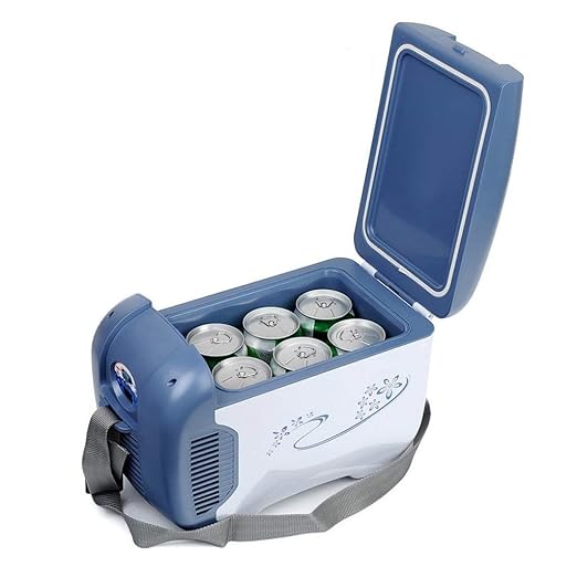 Ice Refrigerador TermoeléCtrico/Calentador De Alimentos PortáTil ...