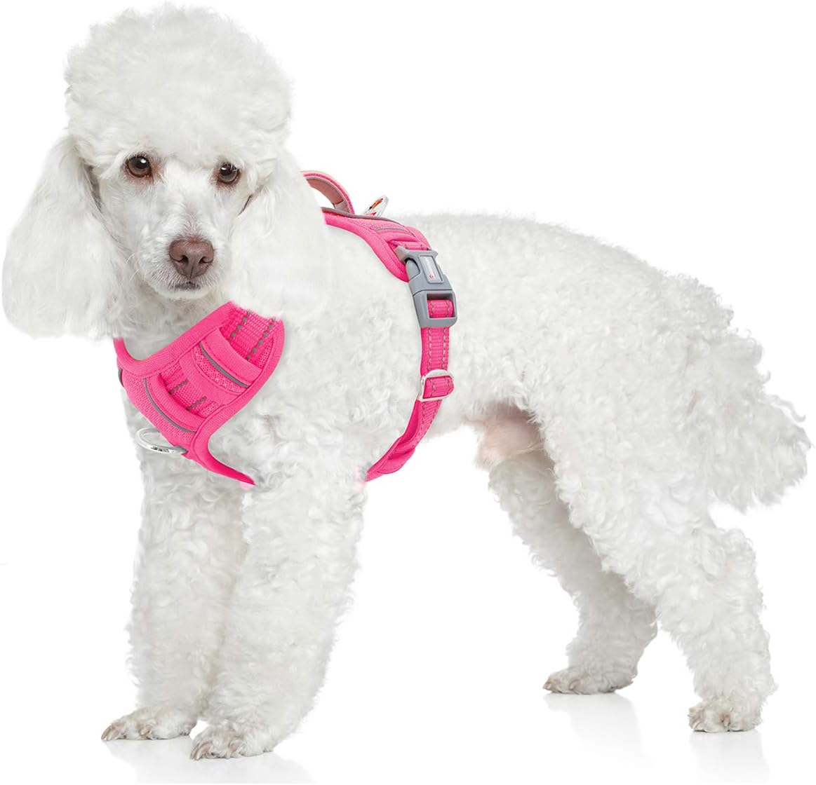 BARKBAY No Pull Dog Harness Front Clip Heavy Duty Reflective Easy Control Handle for Large Dog Walking with ID tag Pocket(Pink,S)