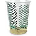 75ct Live Hornworms (3 Cups of 25ct) by DBDPet | Live Arrival is Guaranteed
