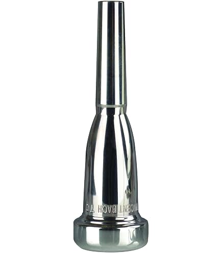 Amazon.com: Bach Gold Rim Trumpet Mouthpiece - 3C : Everything Else