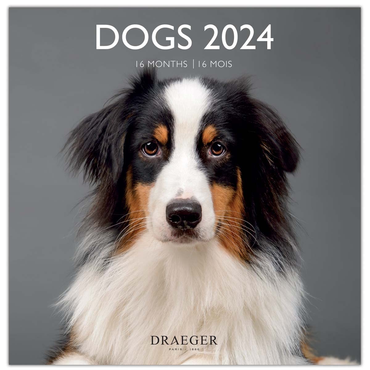 DRAEGER PARIS | Large Wall Calendar Dogs 2024 Hanging 29 x 29 cm | 16 Months Sep-23 to Dec 24 | 7 Languages | Office Calendar, Home, Monthly | Decoration, Organization | FSC® Certified Paper