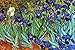 Buttonsmith VanGogh Starry Night Magnet - Set of 2 1.75
