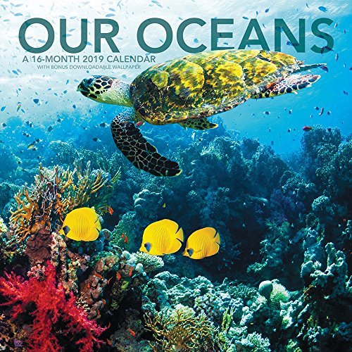Our Oceans Wall Calendar (2019)