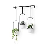 Umbra Triflora Hanging Planter for Window, Indoor