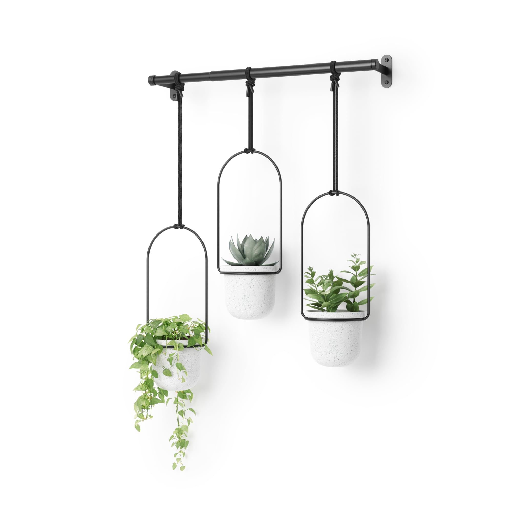 Photo 1 of Umbra Triflora Hanging Planter for Window, Indoor Herb Garden, Set of 3, White/Black