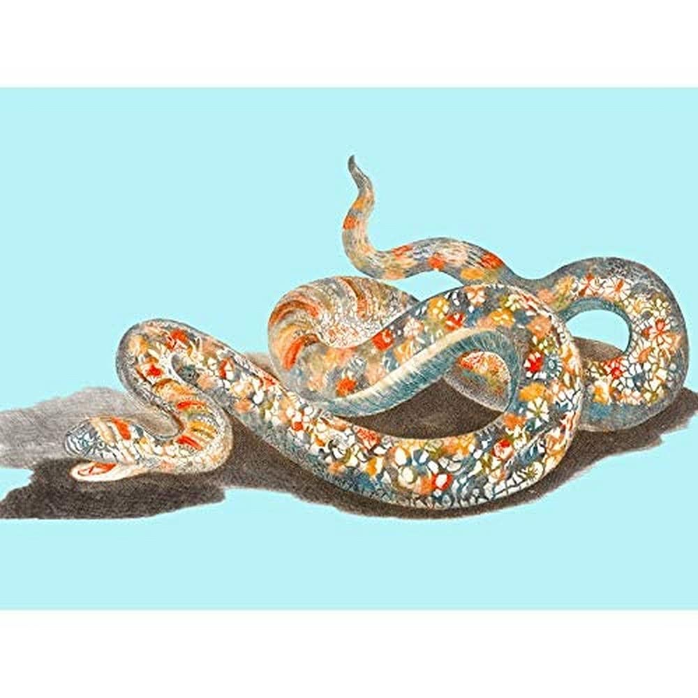 Colourful Snake Johan Teyler Art Print Canvas Premium Wall Decor Poster
