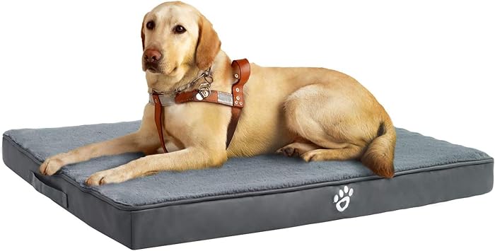 cama viscoel�stica perro amazon