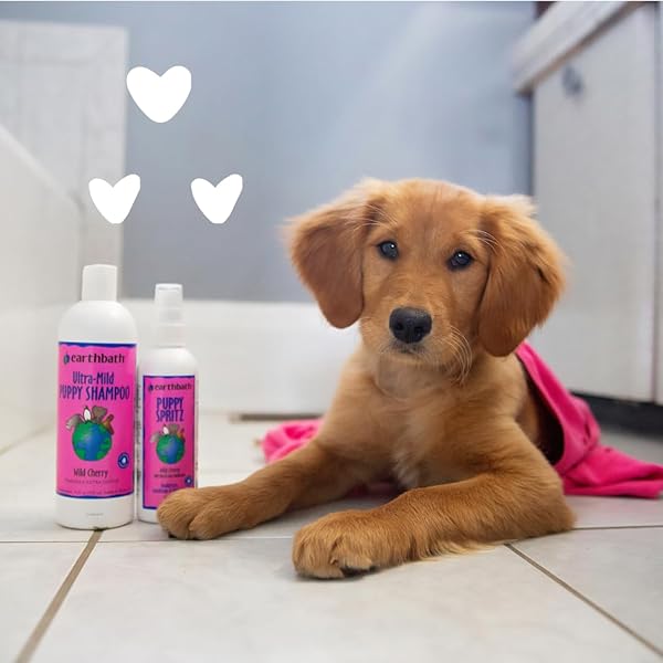 EARTHBATH, ULTRA-MILD WILD CHERRY PUPPY SHAMPOO – EXTRA GENTLE & TEARLESS DOG SHAMPOO, MADE IN USA, DEODORIZING DOG WASH, CRUELTY FREE PUPPY SUPPLIES, SHAMPOO FOR SMELLY DOGS – 16 OZ (1 PACK)