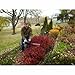 Toro 51496 Cordless 24-Inch 24-Volt Lithium-Ion Hedge Trimmer