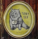 SAD BEAR                                           image
