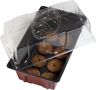 Windhager Zimmer-Gewächshaus Mini inklusiv 8 Quelltabs, terracotta / anthrazit, 11 x 19 x 6 cm, 06842