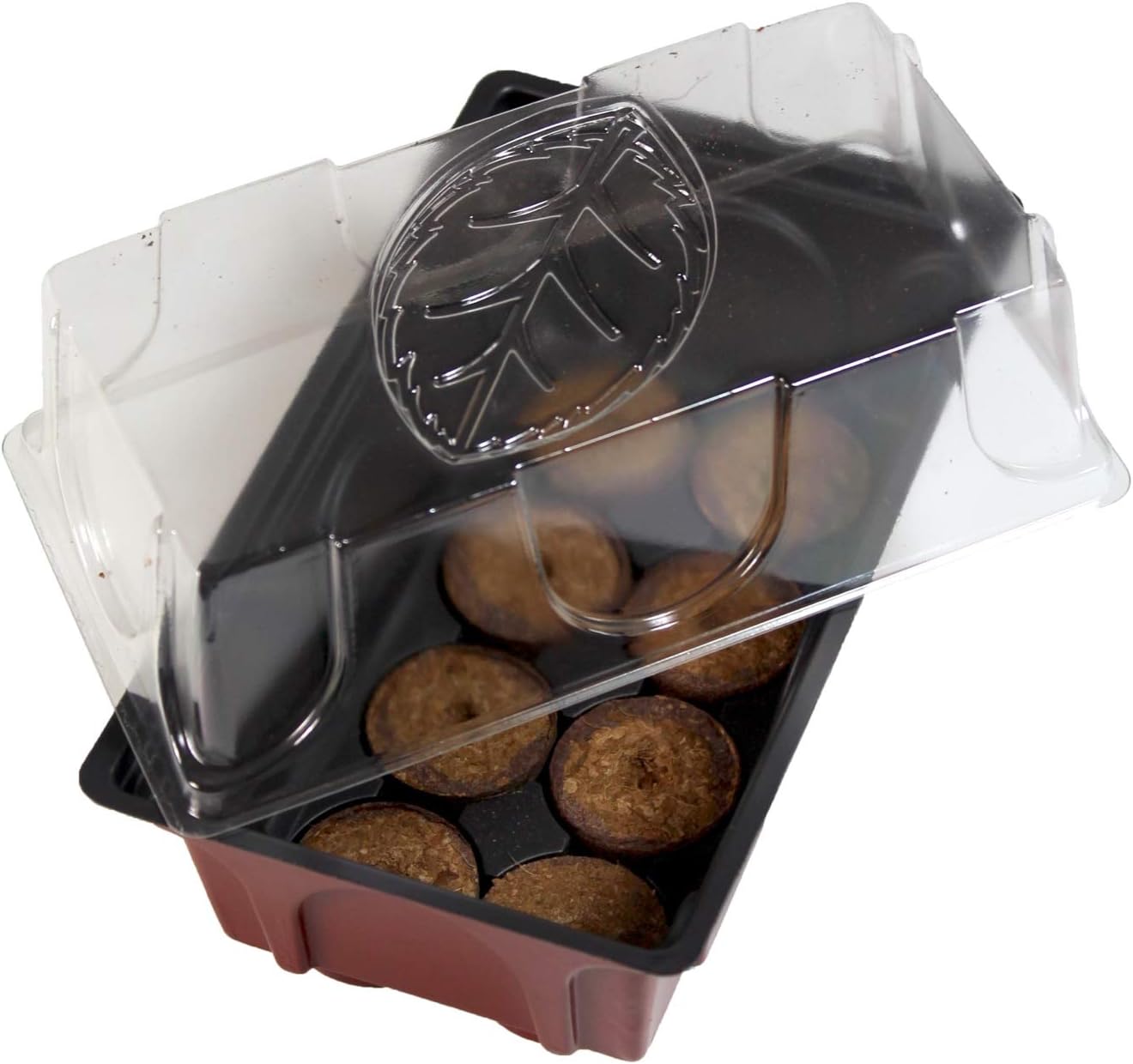 Windhager Zimmer-Gewächshaus Mini inklusiv 8 Quelltabs, terracotta / anthrazit, 11 x 19 x 6 cm, 06842