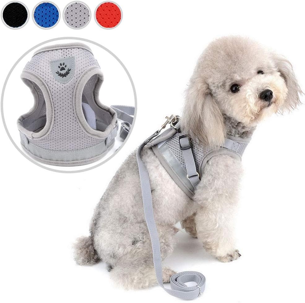 Zunea No Pull Dog Harness for Small Dog Cat Reflective Breathable Soft Mesh Padded Step-in Vest Harnesses Leash Set