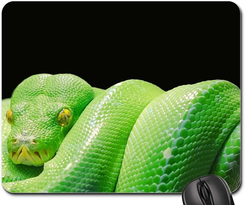 Amazon Co Jp マウスパッド グリーンツリーパイソン パイソンツリーパイソン グリーンツリー パソコン 周辺機器