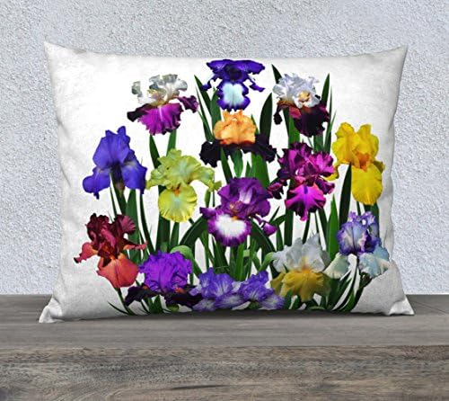 Iris Gqrden 30" x 20" Throw Pillow Case Pillow Set