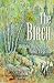 The Birch: Bright Tree of Life and Legend by