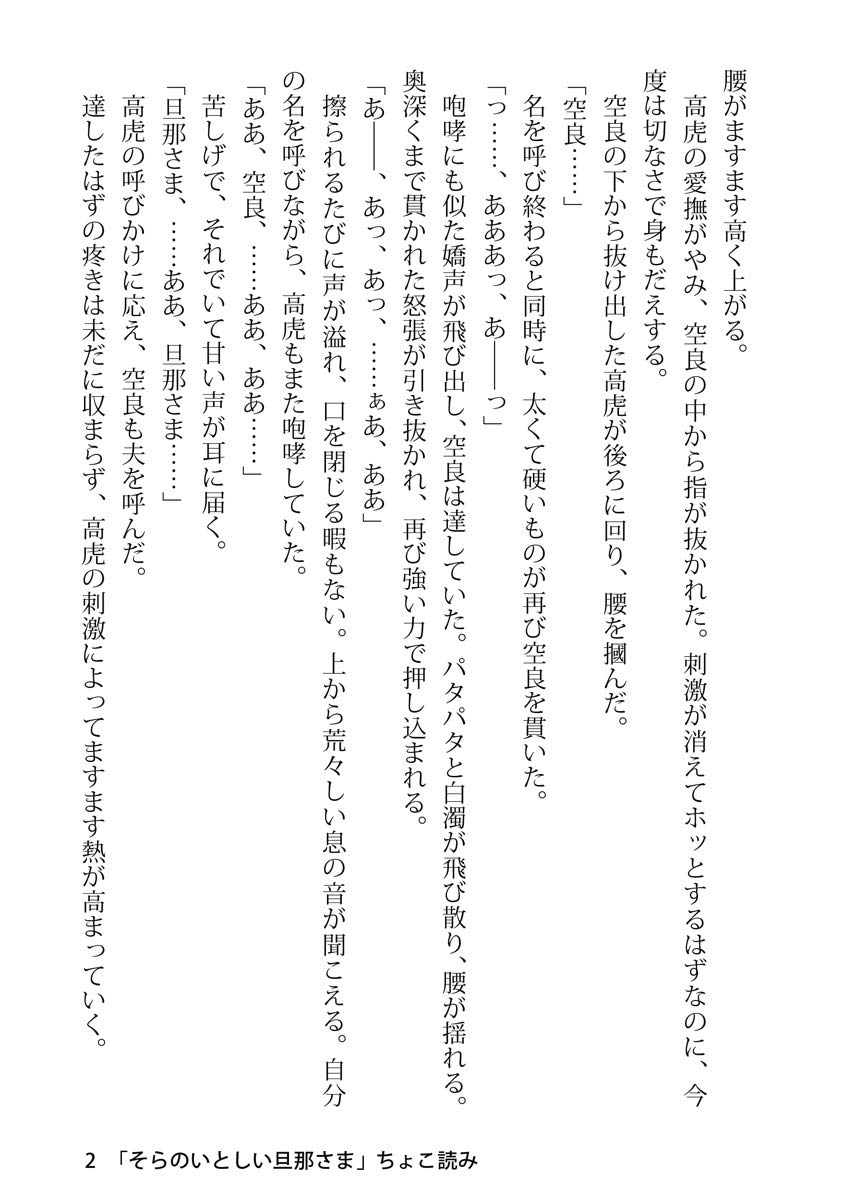 そらのいとしい旦那さま 幻冬舎ルチル文庫 Amazon Com Books