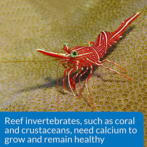 6 API+CALCIUM+Saltwater+Aquarium+1+Count