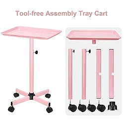 JOSTZHXIN Salon Tray, Height Adjustable Salon SPA