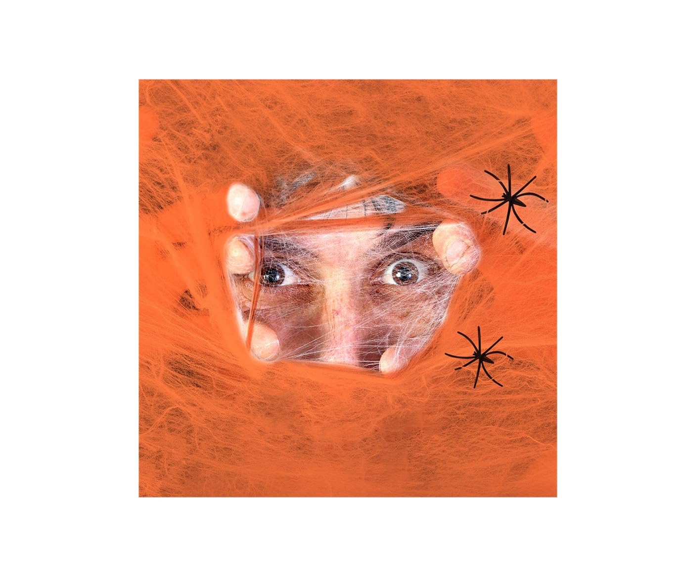 Komonee 5 x Spiderweb Halloween Stretchy Fake Spider Cob Web with Spiders Indoor Outdoor Garden Haunted House Party Decoration Orange — image 1