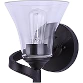 Canarm RUE 1 Light Vanity Wall Fixture with Clear Glass Shade 6.125 x 7.5 x 7 Inches Modern Single-Light Bathroom or Accent S