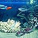 Saim Live-Action Shipwreck Aerating Aquarium Ornaments