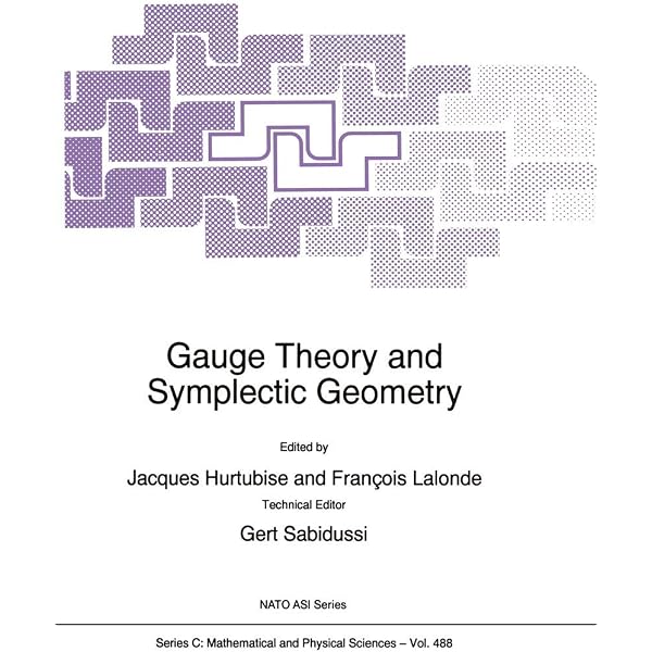 Classical Theory of Gauge Fields: Rubakov, Valery, Wilson, Stephen