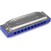 Hohner Harmonica Pentaharp Harmonica, Key of D Minor, Stainless steel (M21BX-DM)