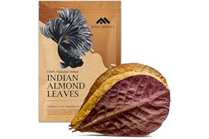 Premium Indian Almond Leave. Aquarium Decorations Size 6-9" Pack 50g(20-25 Leaves). Catappa Leaves Rich in Tannin. Superb to 